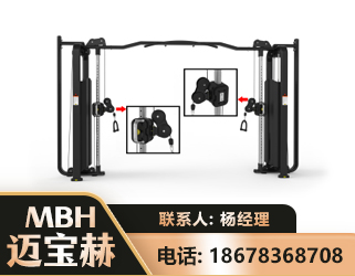 南充大飞鸟训练器