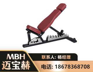 南充可调哑铃椅